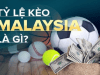 Malaysian odds: Revealing Important Information for Bettors